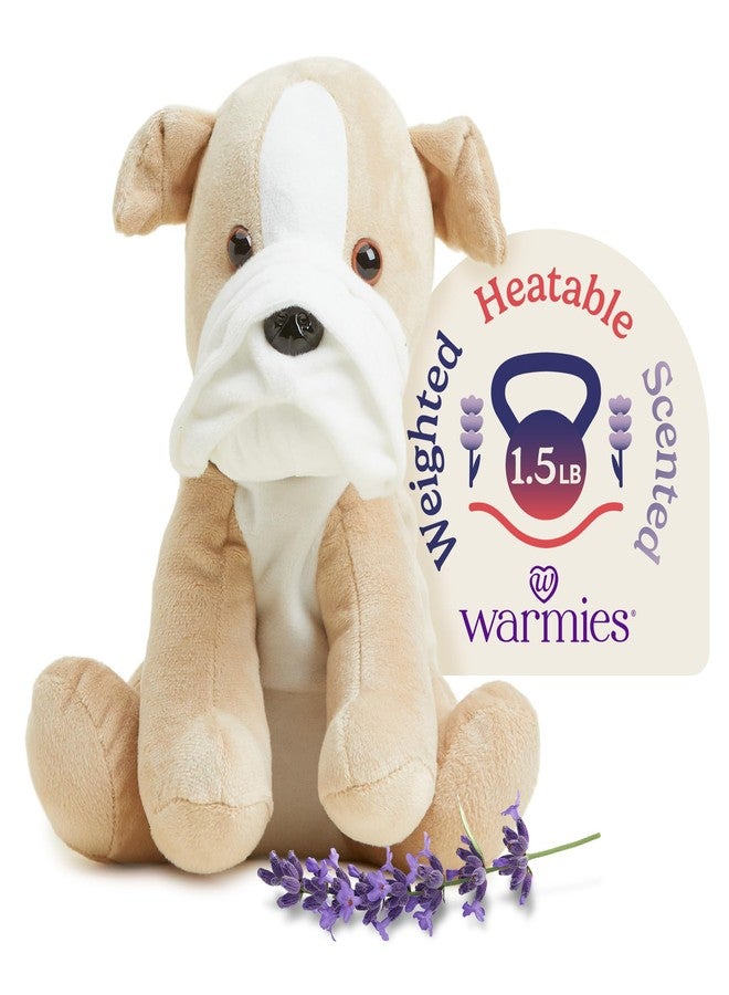 warmies Microwavable & Weighted Stuffed Animals, Bull Dog - Heated Stuffed Animal Plushie for Warmth & Comfort - Cute Soft Plush Toys for Adults & Children (Boys, Girls, Babies & Toddlers) - Image 1